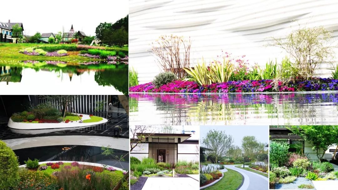 為公園城市美好而生 | 陌上花開花境園藝邀您參觀2020成都園林景觀展(圖8)