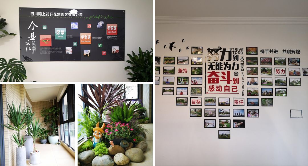 為公園城市美好而生 | 陌上花開花境園藝邀您參觀2020成都園林景觀展(圖7)