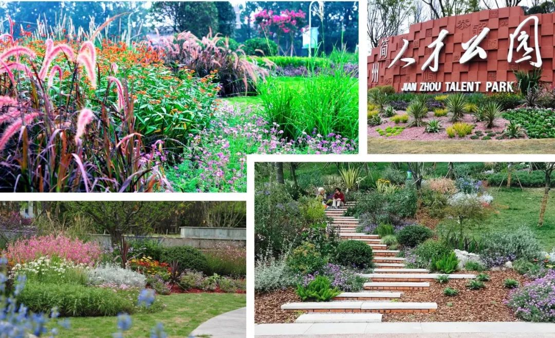 為公園城市美好而生 | 陌上花開花境園藝邀您參觀2020成都園林景觀展(圖11)